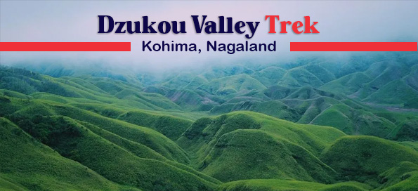 Dzukou Valley Trek (Kohima, Nagaland)